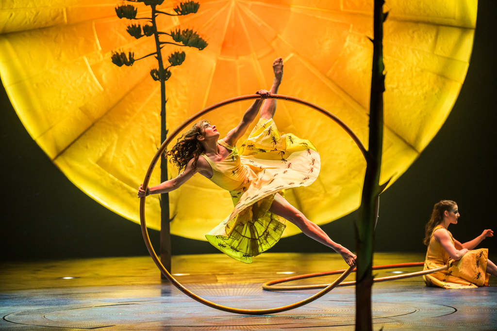 Cirque Du Soleil en Chicago il LUZIA asi sonamos mexico by Tu fashion petite alejandra avila